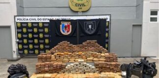 De 43,2 toneladas de drogas apreendidas no AM, 65% são maconha