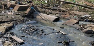 Saneamento precário favorece disseminação da dengue no AM