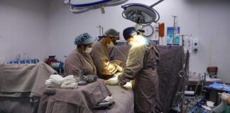 Hospital Francisca Mendes realiza mais de 900 cirurgias cardíacas e vasculares, em 2024