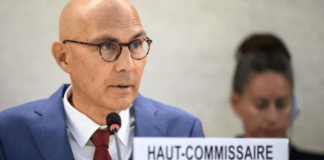 Regulamentar conteúdo nocivo na internet ‘não é censura’, diz ONU