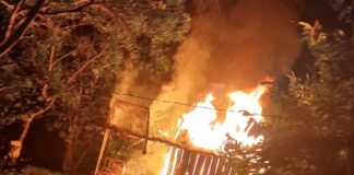 Indígena é preso por incendiar casa de vizinho na zona rural de Humaitá