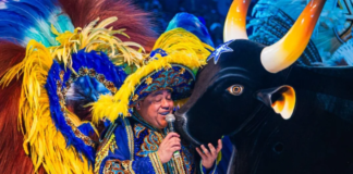 Caprichoso confirma e Prince não será Amo do Boi no Festival de Parintins