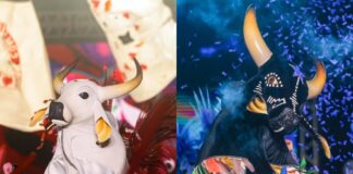 Arena Planeta Boi é alternativa para quem não vai a Parintins