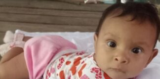 Bebê de 4 meses desaparece após canoa naufragar em rio do Amazonas