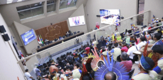 Aleam atua na defesa dos povos indígenas por meio de elaboração de matérias legislativas