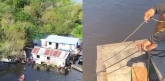 Tristeza em Coari: Menino de 2 anos morre após cair de flutuante enquanto brincava com cachorro