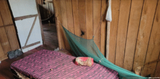 Homem é preso por abuso sexual contra a própria mãe de 98 anos no AM