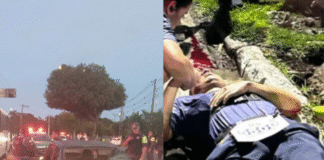 Motorista invade corrida em Manaus e atropela 5 pessoas; veja vídeos