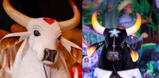 Ordem de apresentação de Caprichoso e Garantido no Festival de Parintins é definida; confira