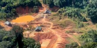 Amazonas e outros oito estados somam mais de 41 mil crimes ambientais em dois anos