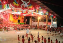 Garantido: primeiro ensaio é ‘simulado de arena’