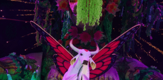 Garantido conquista o título do Festival de Parintins 2025 após seis anos de jejum