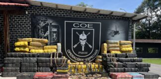 Apreensões no Amazonas batem recorde e somam 17 toneladas de drogas no 1º semestre de 2025