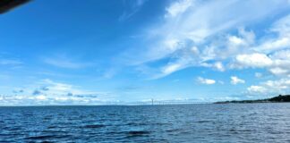 Rio Negro atinge cota de inundação severa em Manaus