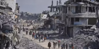 Após cessar-fogo palestinos voltam para Gaza