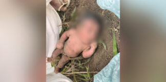 Recém-nascida é encontrada abandonada em barranco