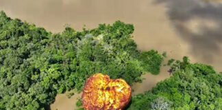 Operação destrói material de garimpo avaliado em R$ 112 milhões