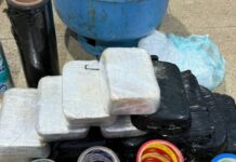 Homem é detido com mais de 15 kg de cocaína enterrados em residência no AM