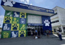 Hospital Veterinário do AM faz 23 mil atendimentos em um mês