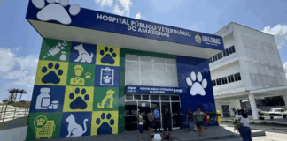 Hospital Veterinário do AM faz 23 mil atendimentos em um mês