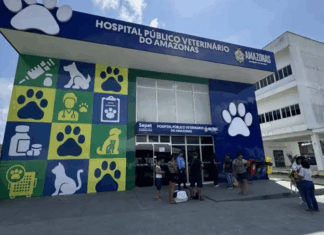 Hospital Veterinário do AM faz 23 mil atendimentos em um mês