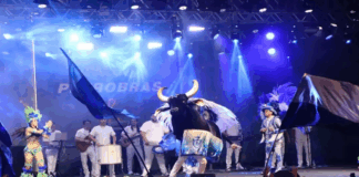 Boi Caprichoso leva a magia do Festival de Parintins ao Rio de Janeiro