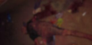 Homem morre após ter braço amputado em ataque com arma branca no interior do Amazonas