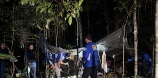 Corpo de mulher é encontrado em área de mata da Ufam