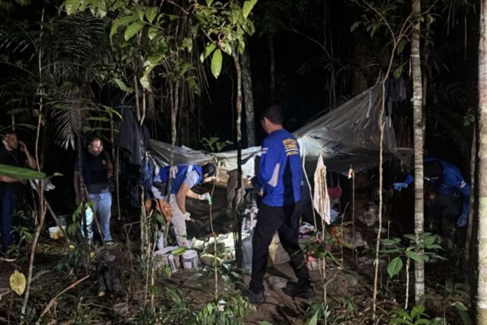 Corpo-matagal-ufam_20260104_084954_0000