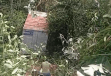 Caminhão despenca em barranco e fica no fundo de mata em Manaus; VÍDEO