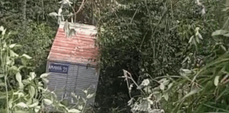 Caminhão despenca em barranco e fica no fundo de mata em Manaus; VÍDEO