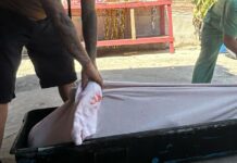 Homem é executado a tiros em casa na zona Sul de Manaus