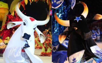 Veja agenda oficial de Caprichoso e Garantido para 2026