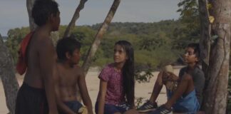 Cultura gratuita e talento local marcam edição de fevereiro do Cine Paricá