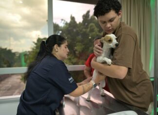 Agendamento para castração gratuita ocorre nesta sexta-feira em Manaus