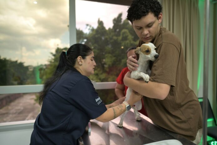 Sepet_Castramovel_manaus_d24am-1-2048x1362