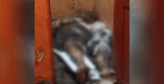 f8c95594-aa6c-4682-84d4-7ec05ce9828c